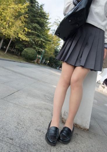 动物与人高清在线