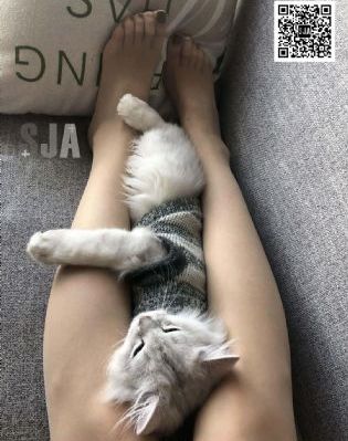 桃花视频在线看www高清播放